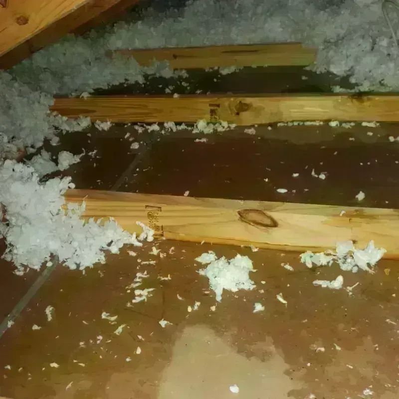 Attic Water Damage in Ponder, TX